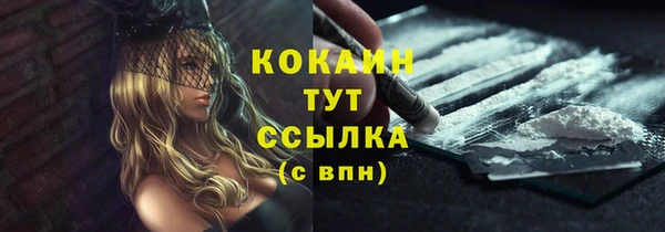 крисы Дмитриев