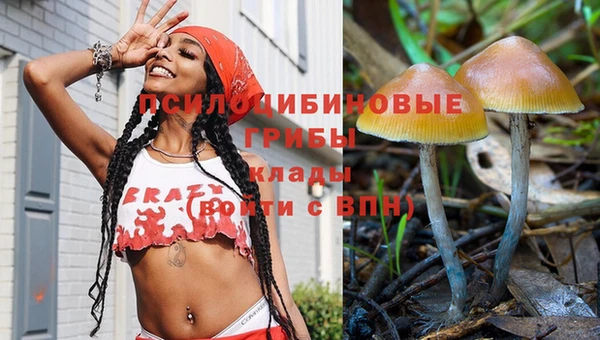 крисы Дмитриев