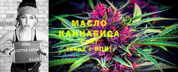 крисы Дмитриев