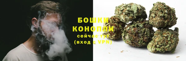крисы Дмитриев