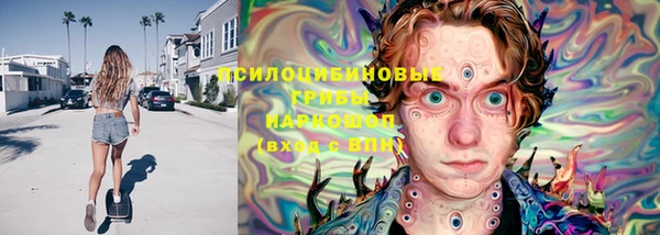 крисы Дмитриев